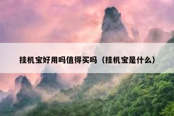 挂机宝好用吗值得买吗（挂机宝是什么） 第1张