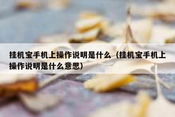 挂机宝手机上操作说明是什么（挂机宝手机上操作说明是什么意思） 第1张