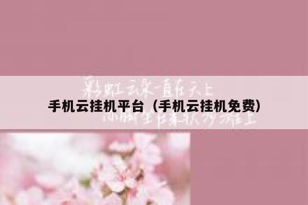手机云挂机平台（手机云挂机免费） 第1张