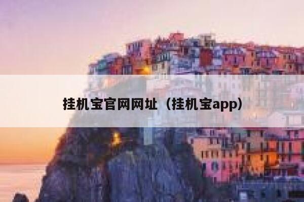 挂机宝官网网址（挂机宝app） 第1张