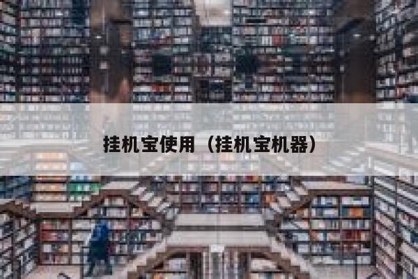 挂机宝使用（挂机宝机器） 第1张