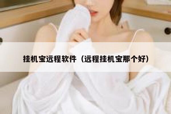 挂机宝远程软件（远程挂机宝那个好） 第1张