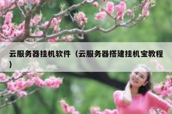 云服务器挂机软件（云服务器搭建挂机宝教程） 第1张