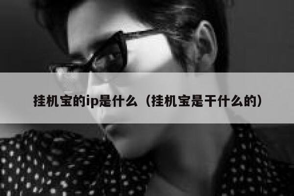 挂机宝的ip是什么（挂机宝是干什么的） 第1张