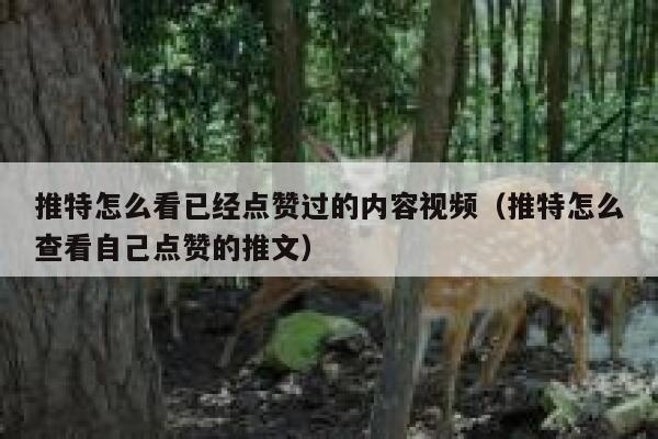 推特怎么看已经点赞过的内容视频（推特怎么查看自己点赞的推文） 第1张