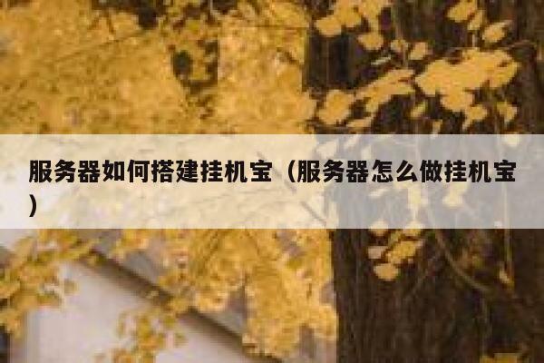服务器如何搭建挂机宝（服务器怎么做挂机宝） 第1张