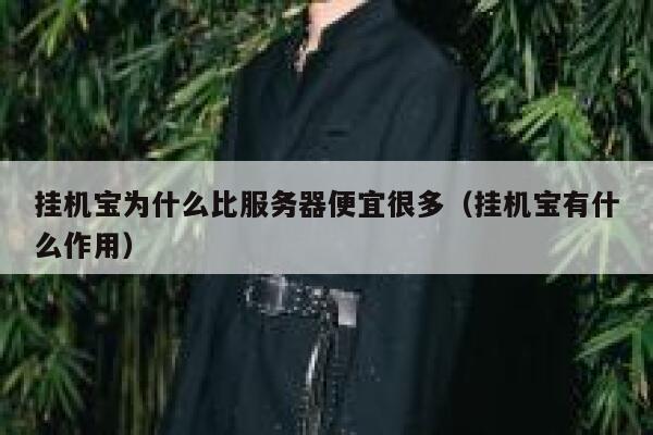 挂机宝为什么比服务器便宜很多（挂机宝有什么作用） 第1张