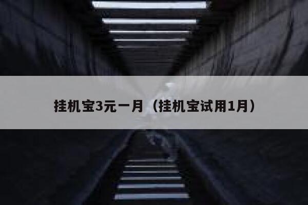 挂机宝3元一月（挂机宝试用1月） 第1张