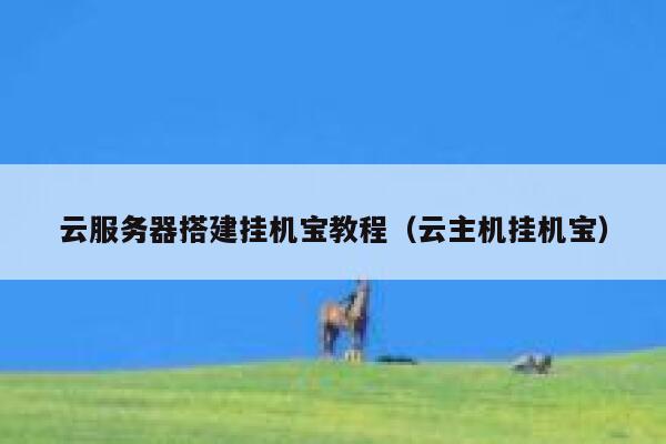 云服务器搭建挂机宝教程（云主机挂机宝） 第1张