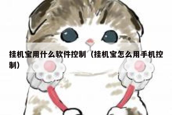 挂机宝用什么软件控制（挂机宝怎么用手机控制） 第1张