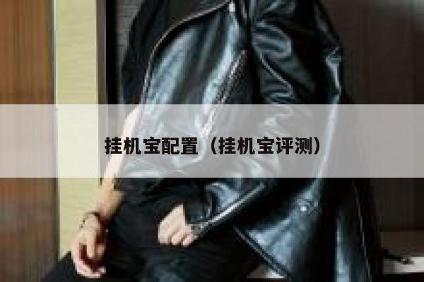 挂机宝配置（挂机宝评测） 第1张