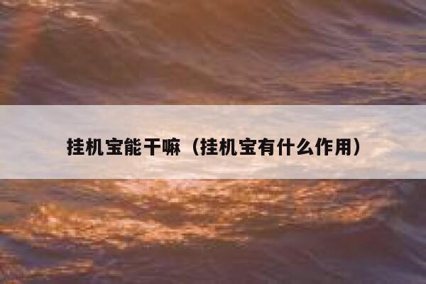 挂机宝能干嘛（挂机宝有什么作用） 第1张