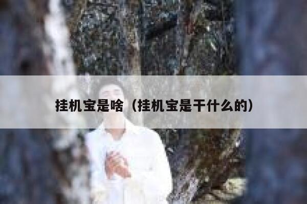 挂机宝是啥（挂机宝是干什么的） 第1张