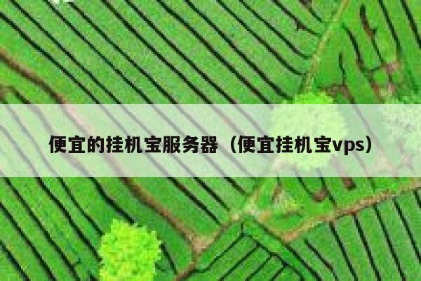 便宜的挂机宝服务器（便宜挂机宝vps） 第1张