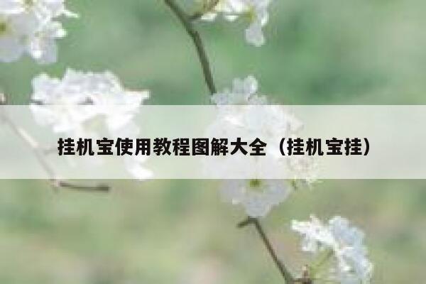 挂机宝使用教程图解大全（挂机宝挂） 第1张