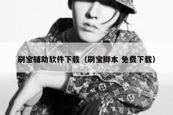 刷宝辅助软件下载（刷宝脚本 免费下载） 第1张