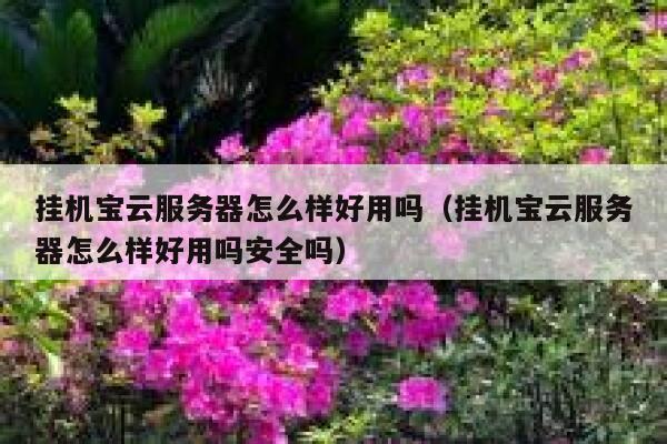 挂机宝云服务器怎么样好用吗（挂机宝云服务器怎么样好用吗安全吗） 第1张
