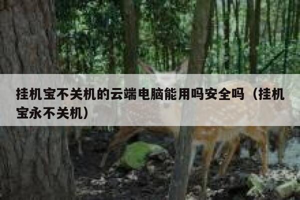 挂机宝不关机的云端电脑能用吗安全吗（挂机宝永不关机） 第1张