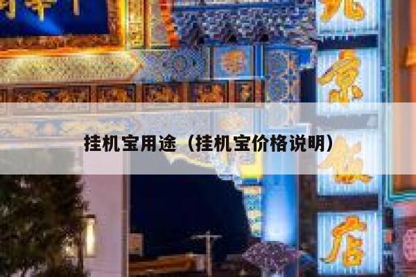 挂机宝用途（挂机宝价格说明） 第1张