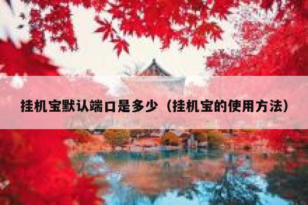挂机宝默认端口是多少（挂机宝的使用方法） 第1张