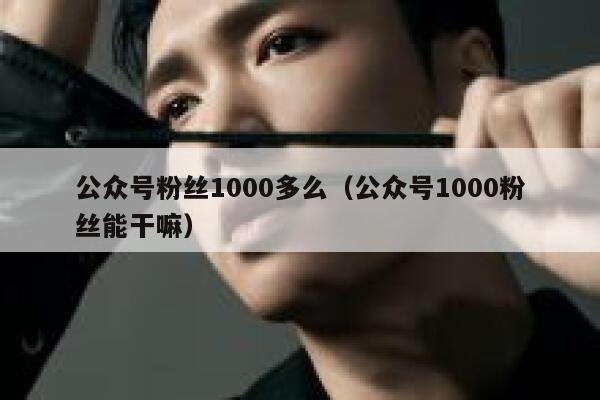 公众号粉丝1000多么（公众号1000粉丝能干嘛） 第1张