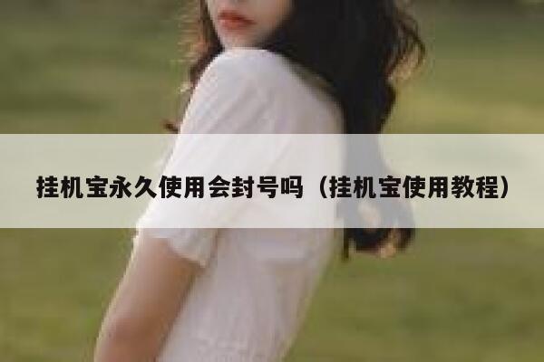 挂机宝永久使用会封号吗（挂机宝使用教程） 第1张