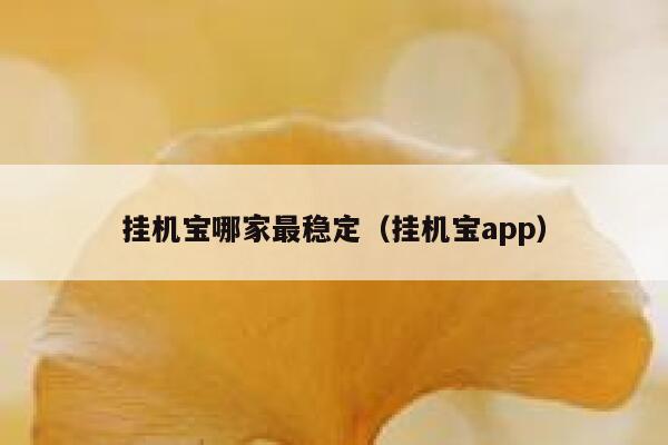 挂机宝哪家最稳定（挂机宝app） 第1张