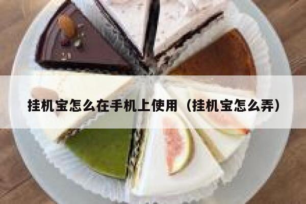 挂机宝怎么在手机上使用（挂机宝怎么弄） 第1张
