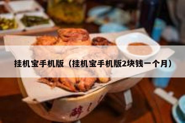挂机宝手机版（挂机宝手机版2块钱一个月） 第1张