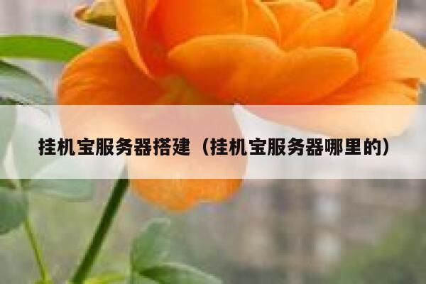 挂机宝服务器搭建（挂机宝服务器哪里的） 第1张
