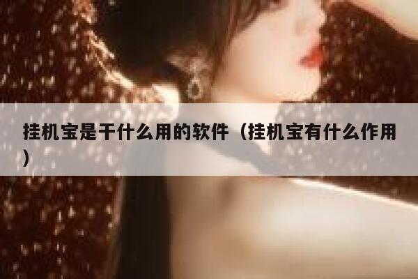 挂机宝是干什么用的软件（挂机宝有什么作用） 第1张