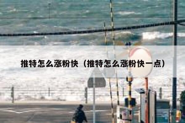 推特怎么涨粉快（推特怎么涨粉快一点） 第1张