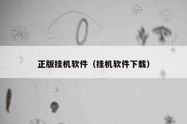 正版挂机软件（挂机软件下载） 第1张