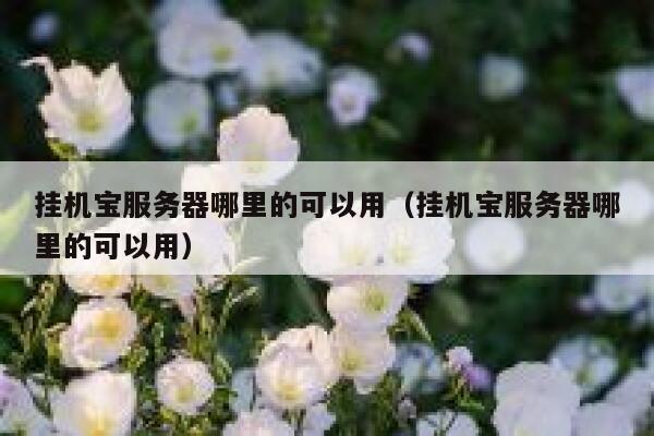 挂机宝服务器哪里的可以用（挂机宝服务器哪里的可以用） 第1张