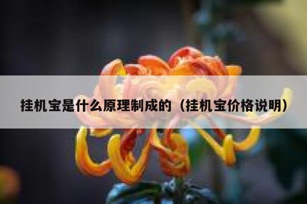 挂机宝是什么原理制成的（挂机宝价格说明） 第1张