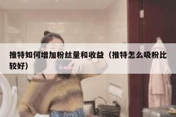 推特如何增加粉丝量和收益（推特怎么吸粉比较好） 第1张