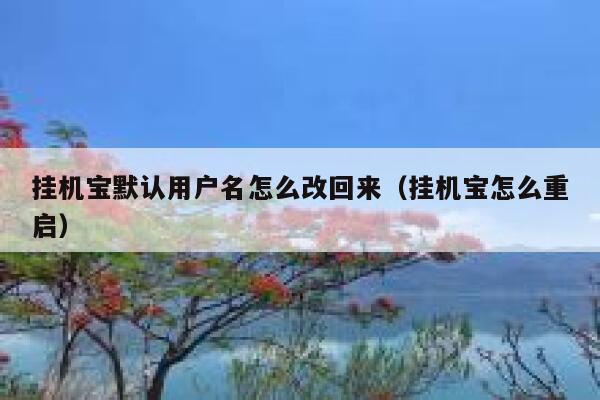 挂机宝默认用户名怎么改回来（挂机宝怎么重启） 第1张