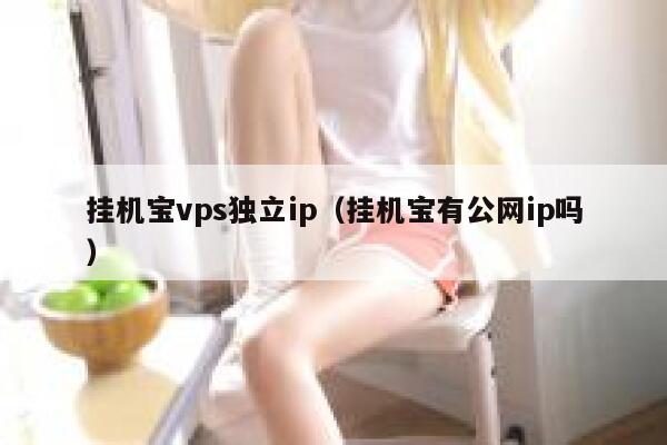 挂机宝vps独立ip（挂机宝有公网ip吗） 第1张