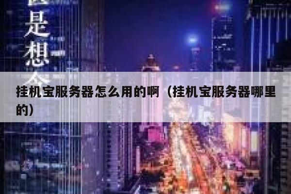 挂机宝服务器怎么用的啊（挂机宝服务器哪里的） 第1张