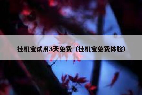 挂机宝试用3天免费（挂机宝免费体验） 第1张