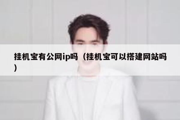挂机宝有公网ip吗（挂机宝可以搭建网站吗） 第1张
