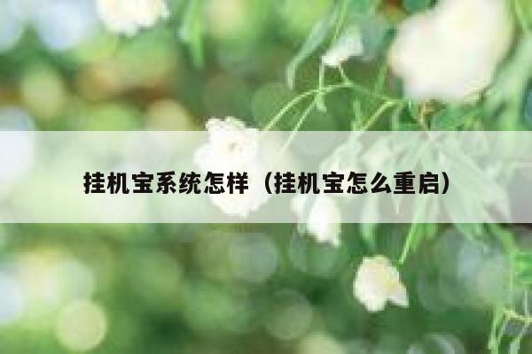 挂机宝系统怎样（挂机宝怎么重启） 第1张