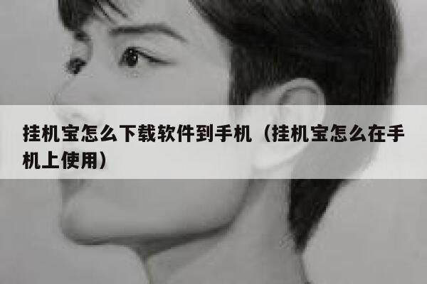 挂机宝怎么下载软件到手机（挂机宝怎么在手机上使用） 第1张