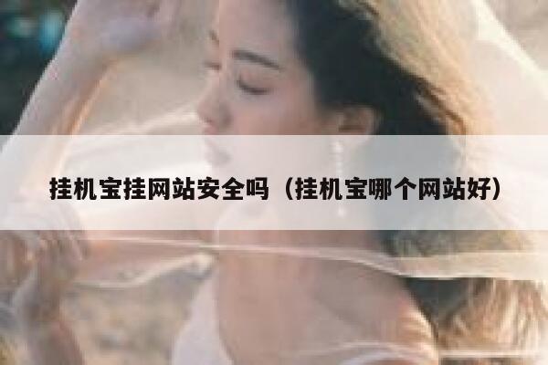 挂机宝挂网站安全吗（挂机宝哪个网站好） 第1张