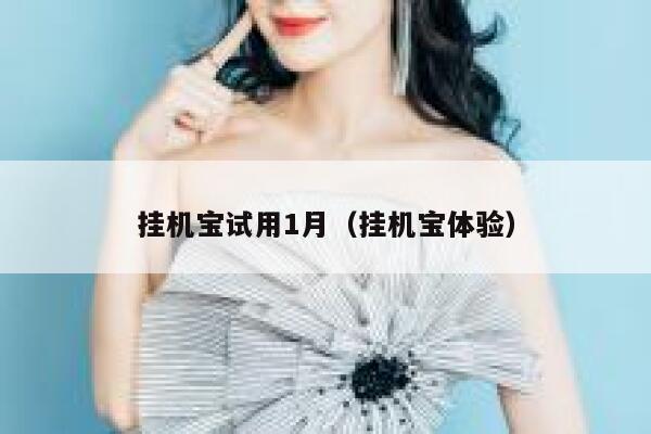 挂机宝试用1月（挂机宝体验） 第1张