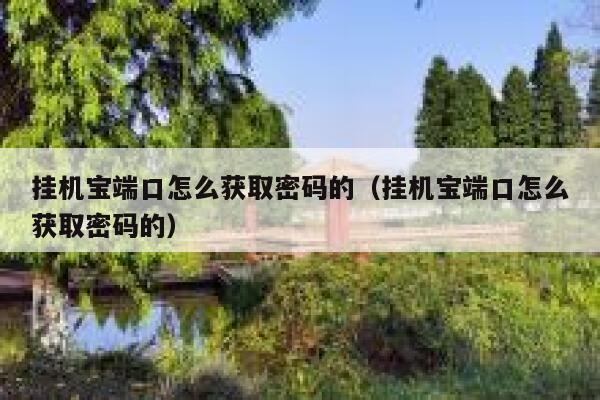 挂机宝端口怎么获取密码的（挂机宝端口怎么获取密码的） 第1张