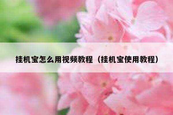 挂机宝怎么用视频教程（挂机宝使用教程） 第1张