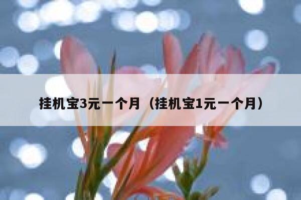 挂机宝3元一个月（挂机宝1元一个月） 第1张