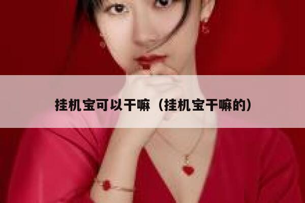 挂机宝可以干嘛（挂机宝干嘛的） 第1张