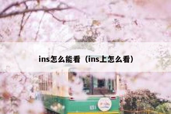 ins怎么能看（ins上怎么看） 第1张